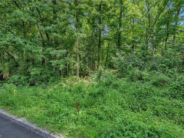 Land for sale in Wilkesboro, North Carolina