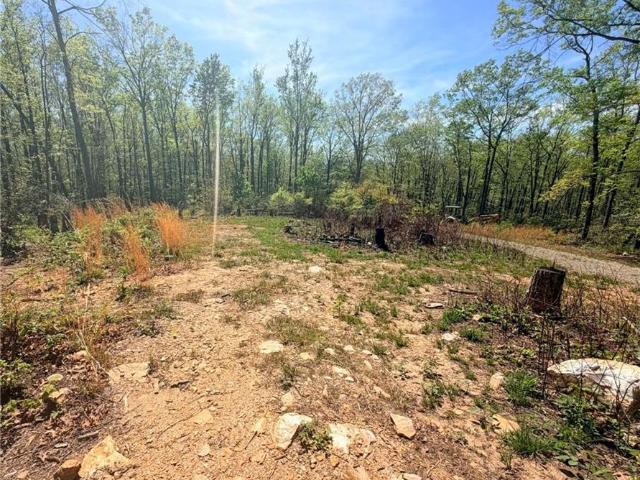 Land for sale in Dobson, North Carolina