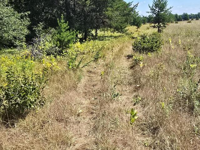 Land for sale in Brainerd, Minnesota