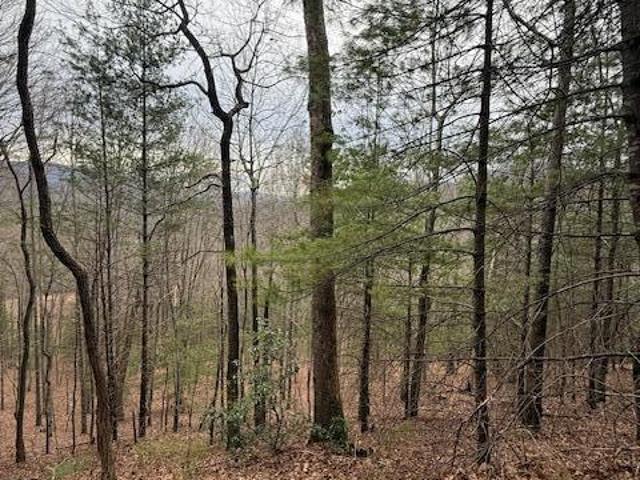 Land for sale in Tennessee