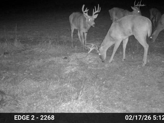 Land for sale in Kansas