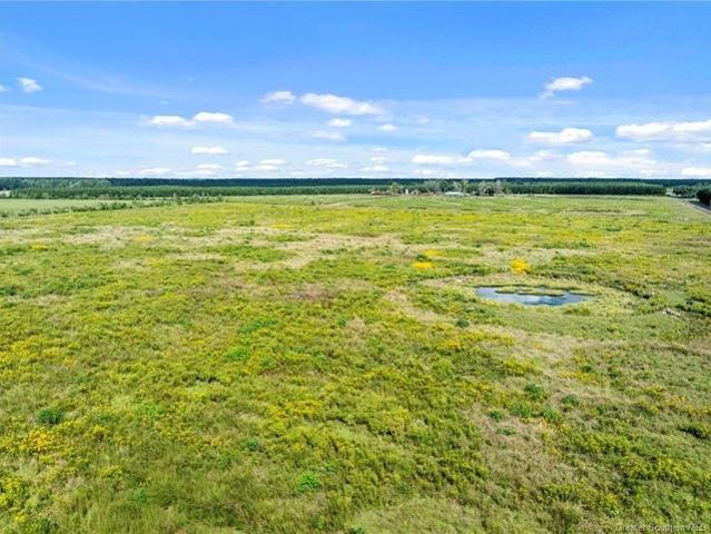 Land for sale in Deridder, Louisiana