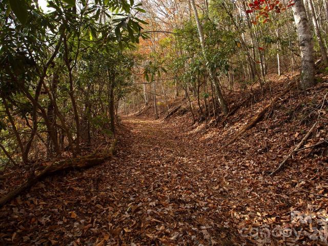 Land for sale in Marshall, North Carolina