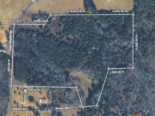 Farm for sale in Big Sandy, Texas