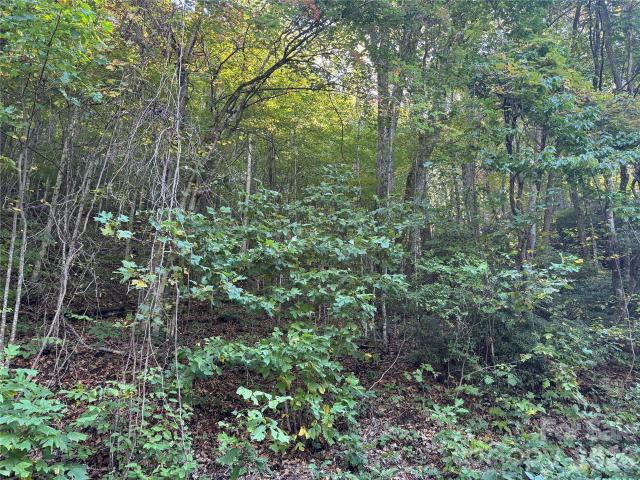 Land for sale in Fairview, North Carolina