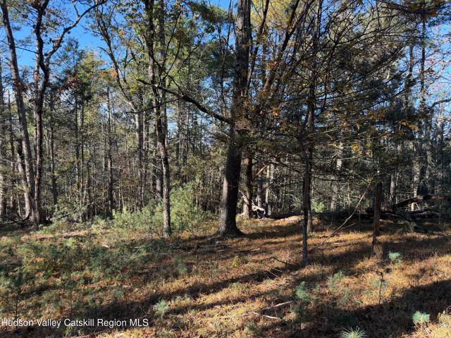 Land for sale in Morgan Hill, Town of Hurley