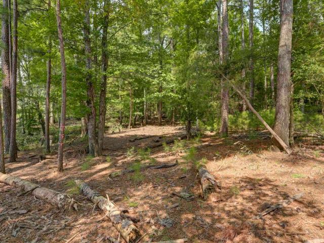 Land for sale in Ridgeway, South Carolina
