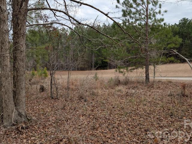 Land for sale in Ridgeway, South Carolina
