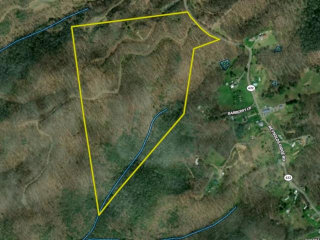 Land for sale in Virginia