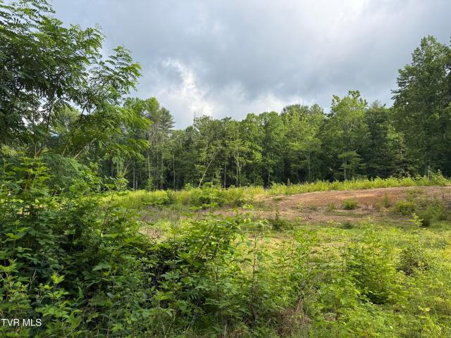 Land for sale in Tennessee