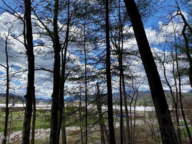 Land for sale in Tennessee