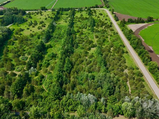 Land for sale in Benton, Minnesota