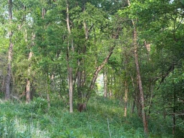 Land for sale in Virginia