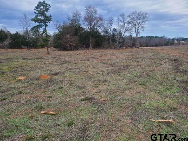 Land for sale in Smith, Texas