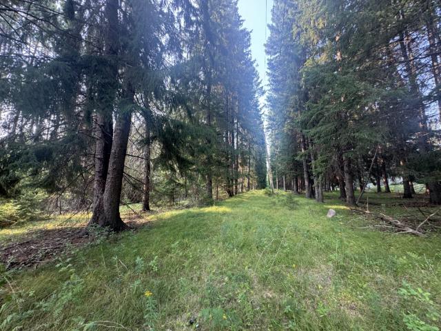 Land for sale in Grand Rapids, Minnesota