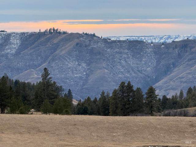 Property for sale in Cottonwood, Idaho