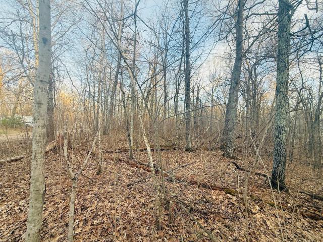 Land for sale in Minnesota