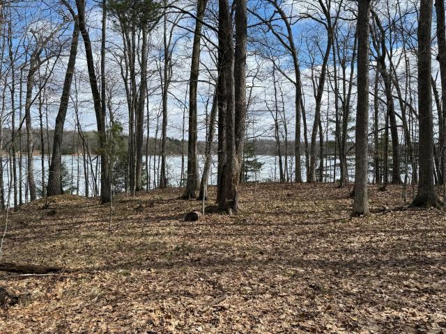 Land for sale in Sarona, Wisconsin