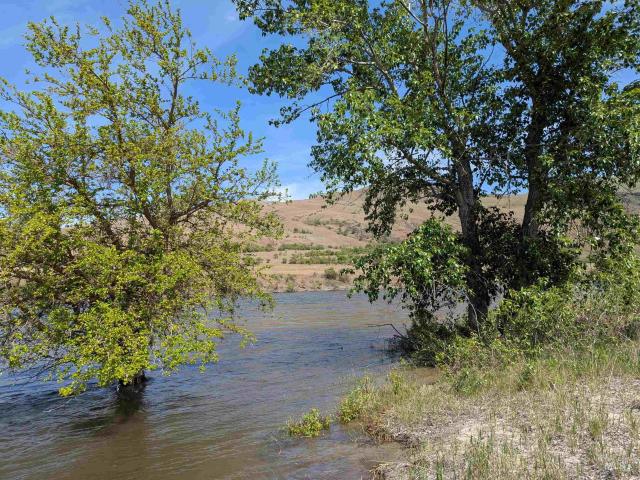 Land for sale in White Bird, Idaho
