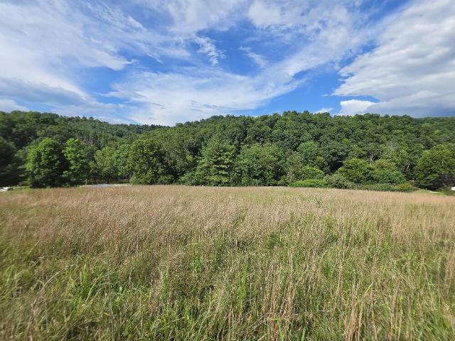 Land for sale in Virginia
