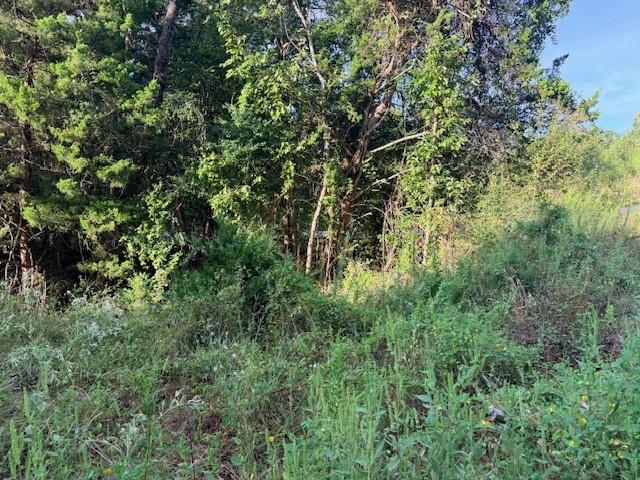 Land for sale in Coldspring, San Jacinto County