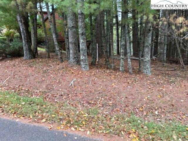 Land for sale in Alleghany, North Carolina