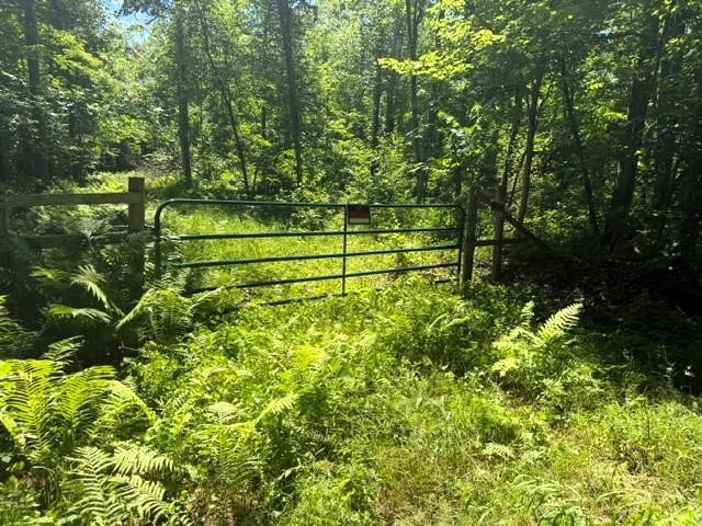 Land for sale in Fifty Lakes, Minnesota