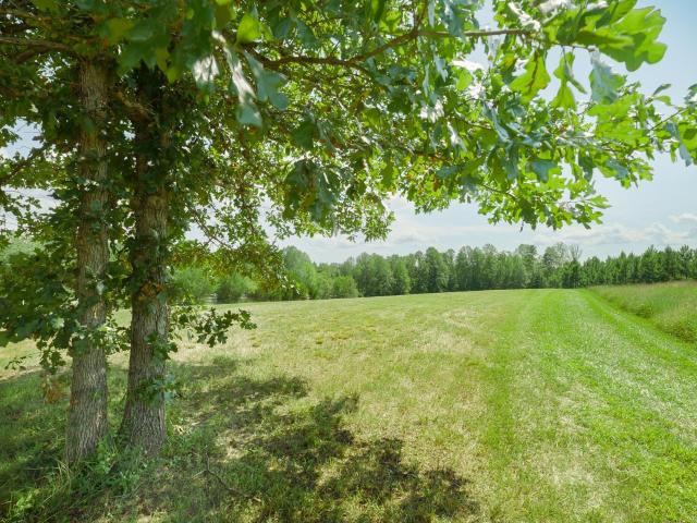 Land for sale in Virginia