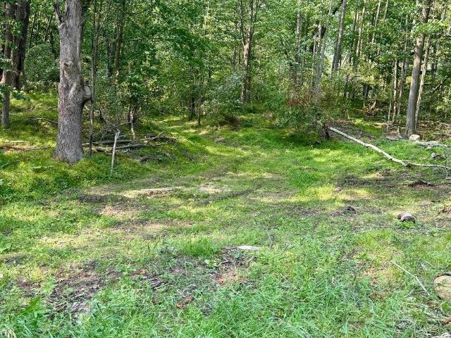 Land for sale in Isabella, Michigan