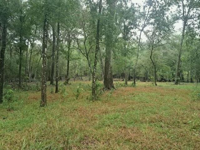 Land for sale in Branford, Suwannee County