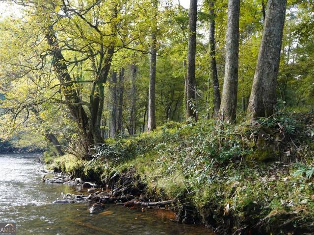Land for sale in Hayesville, Clay County