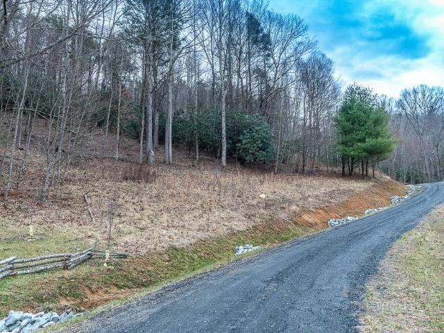 Land for sale in Elk Park, Avery County