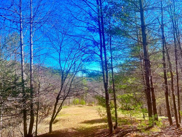 Land for sale in Virginia