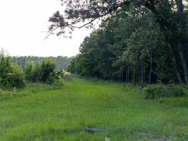 Land for sale in Ehrhardt, South Carolina