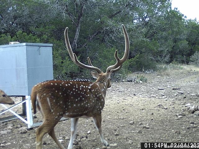 Farm for sale in Kinney, Texas