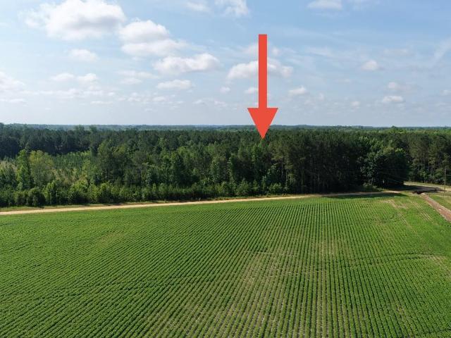 Land for sale in Lake View, South Carolina