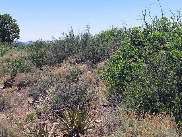 Land for sale in Colorado