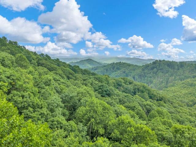 Land for sale in North Carolina