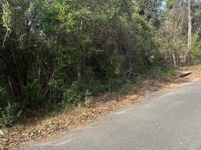 Land for sale in Aiken, South Carolina