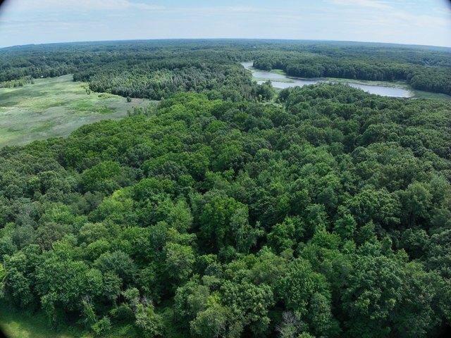 Land for sale in Dryden, Michigan
