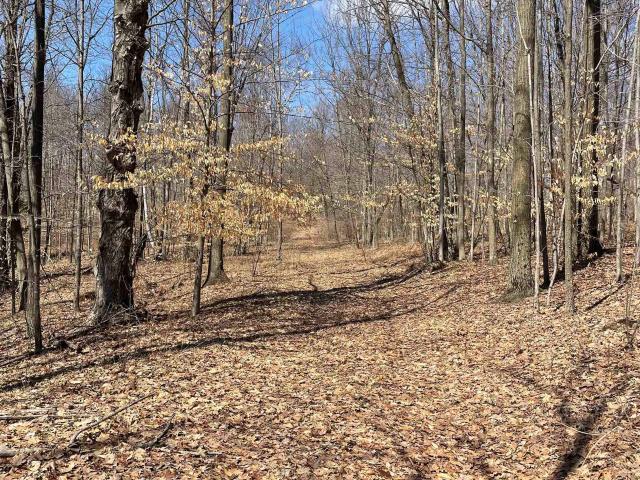 Land for sale in Clare, Michigan