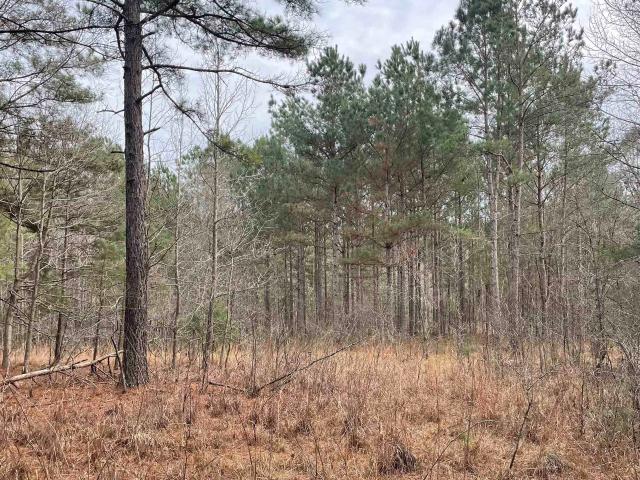 Land for sale in South Carolina