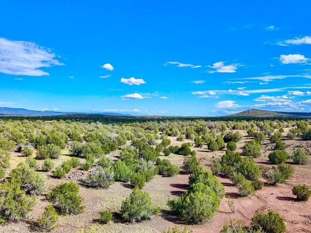 Land for sale in Ash Fork, Yavapai County