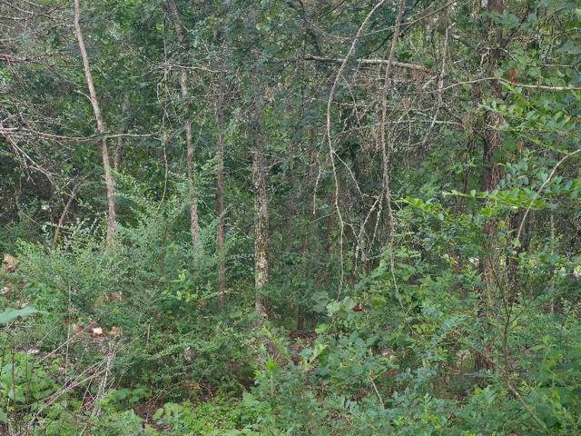 Land for sale in Ark