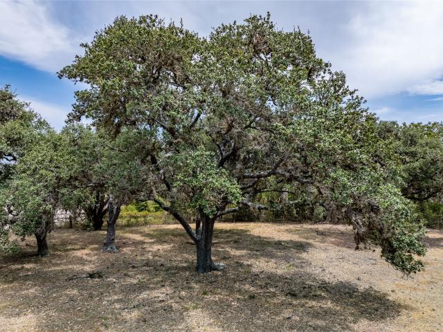 Land for sale in La Grange, Texas