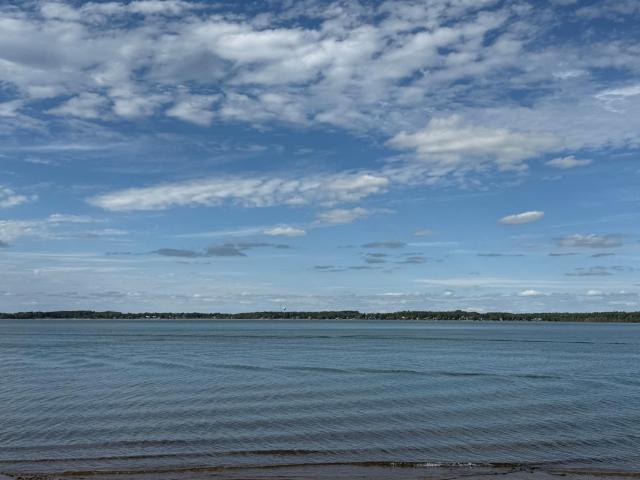 Land for sale in Shell Lake, Washburn County