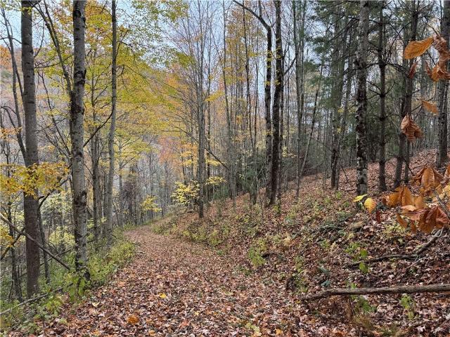 Land for sale in Watauga, North Carolina