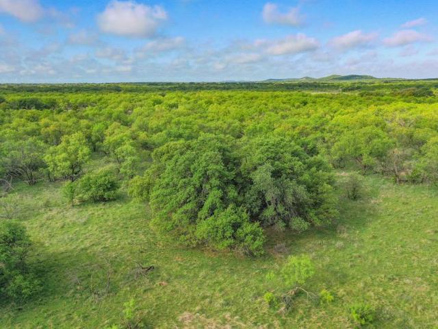 Land for sale in Jacksboro, Texas