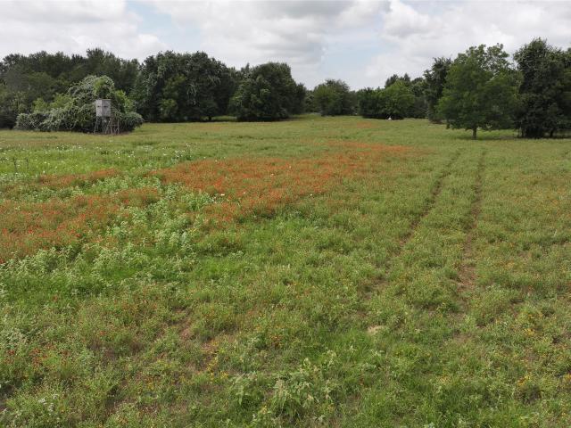 Land for sale in Bremond, Robertson County