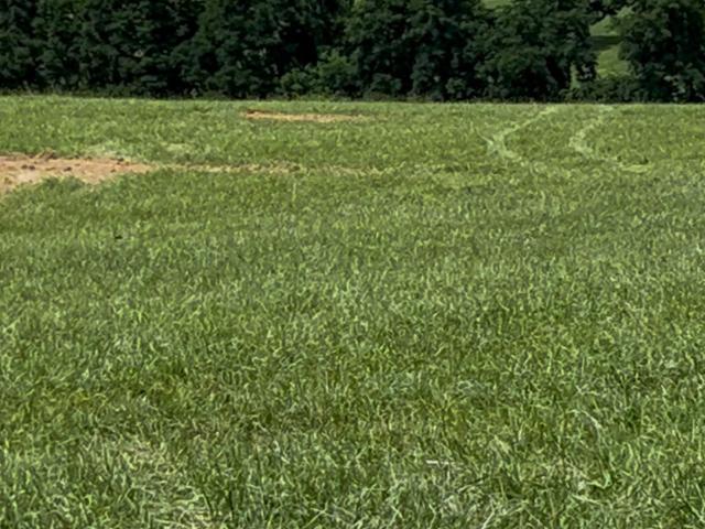 Land for sale in Virginia